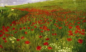 Meadow with Poppies
